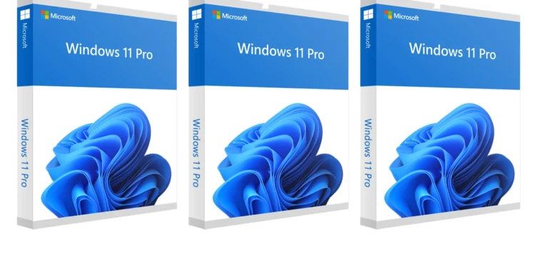 Windows 11 Pro License Deal